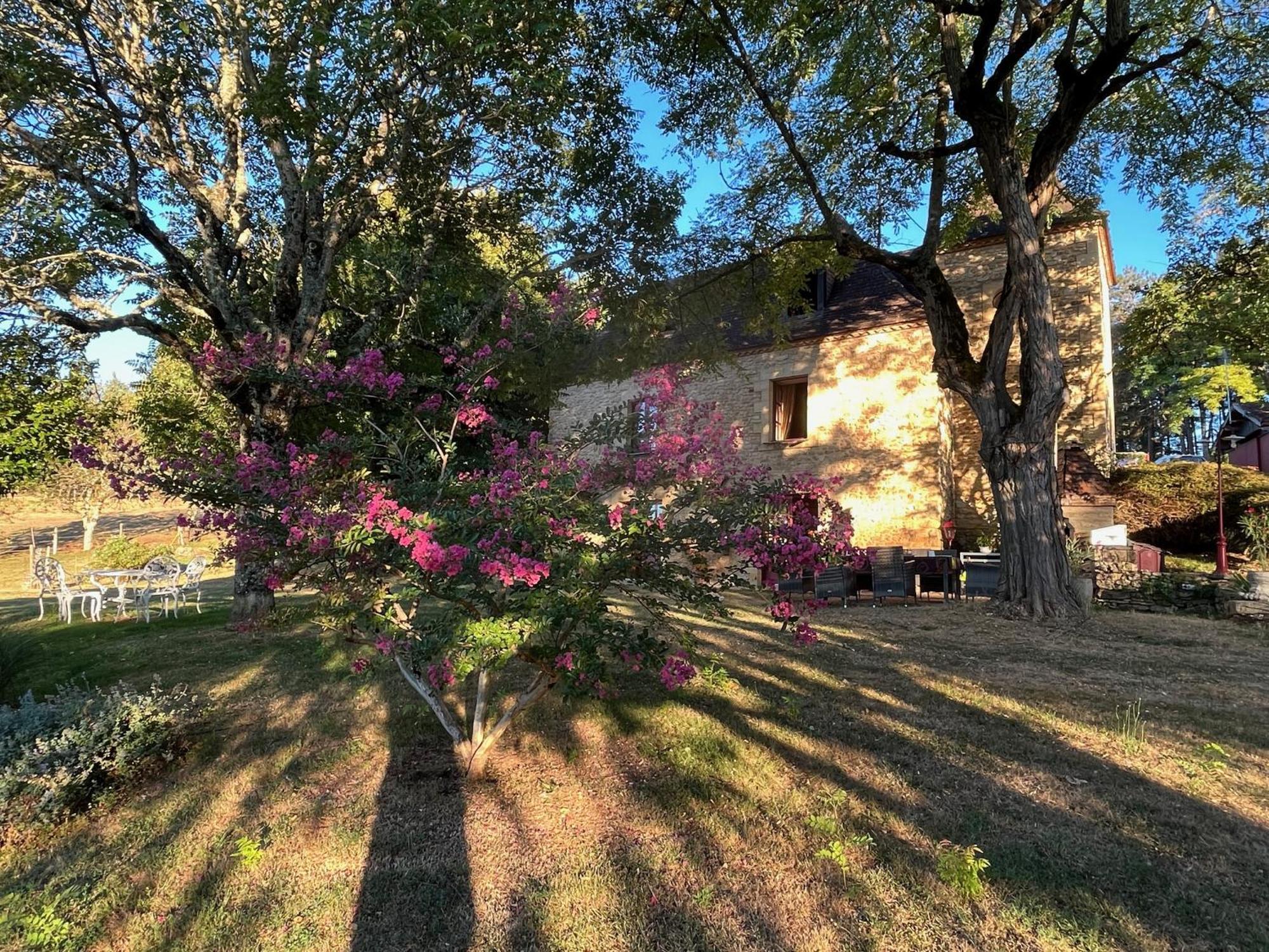 Roquebrune Saint-Alvère Екстериор снимка